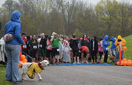 5K-9 Race & Shelter Campaign - OSCAR Animal Rescue in Sparta, NJ